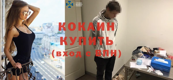стафф Богданович