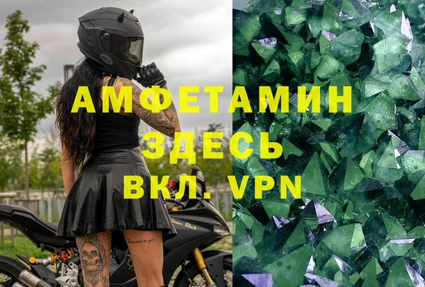 стафф Богданович