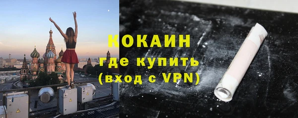 стафф Богданович